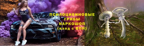 бошки Балахна